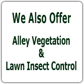We also offer Alley Vegetation & Lawn Insect Control